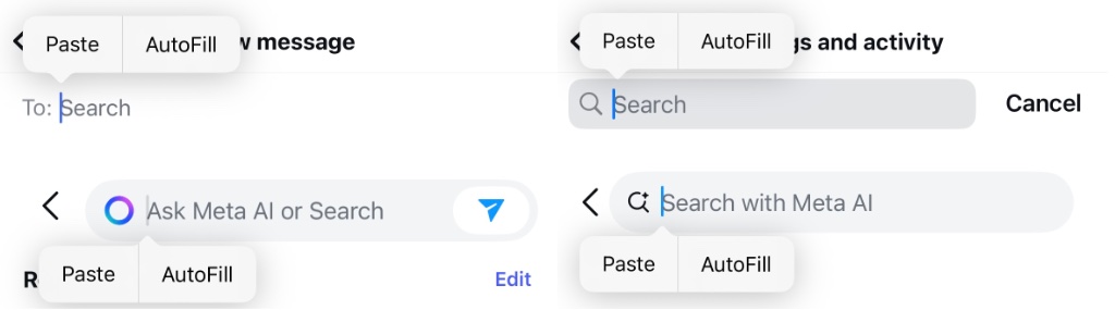 Several fields in Instagram where they allow copy and paste
